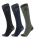 Reitsocken Glorious