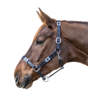 Lederhalfter Polo