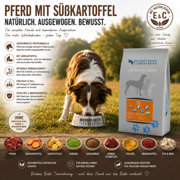 Pferd mit Süßkartoffel & Granatapfel