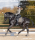 Schabracke Pegasus