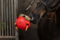 Maximus Fun Ball