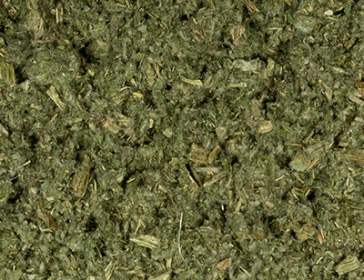 Artischocke 1 KG