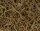 Baldrian 500g