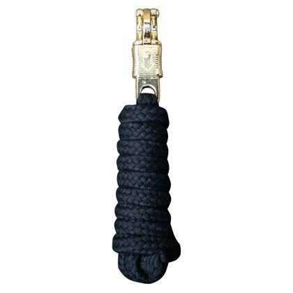 Anbindestrick Panikhaken Gold 2m