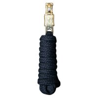 Anbindestrick Panikhaken Gold 2m