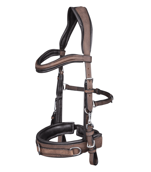 Lederkappzaum anatomic