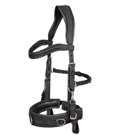 Lederkappzaum anatomic