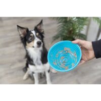 Lick’nSnack Bowl