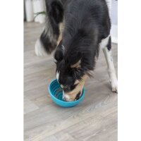 Lick’nSnack Bowl