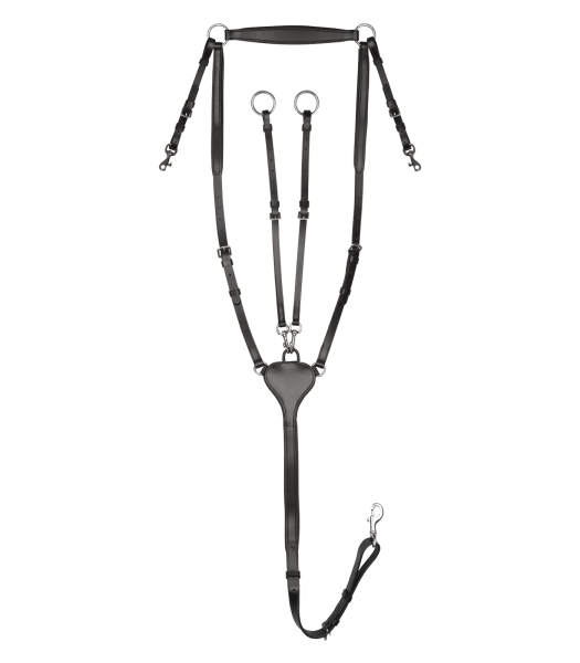 Waldhausen X-Line Vorderzeug Professional