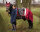 Winterjacke Linde Junior