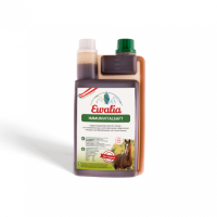 EWALIA Immunvitalsaft 1L