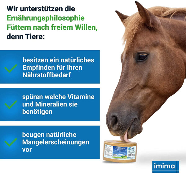 ZINCOBLOCK 3 KG