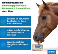 ZINCOBLOCK 3 KG