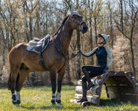 Eventing gamaschen hinterbein technical