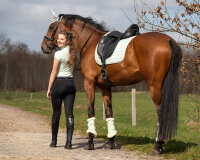Reitlegging Eden Vollbesatz