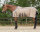 Fliegendecke Combo Collection mit Hals