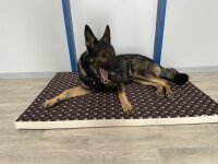 Beckers Beste Hundematte mit Pfotenmotiv dbraun/beige Pfoten-5 cm-80x55