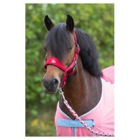 Halfterset Diva Stella
