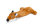 KARLIE PLU HSP SHAKY FOX 32X20X7