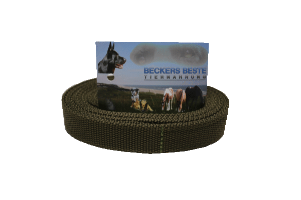Nylonleine Grün mit Schlaufe
