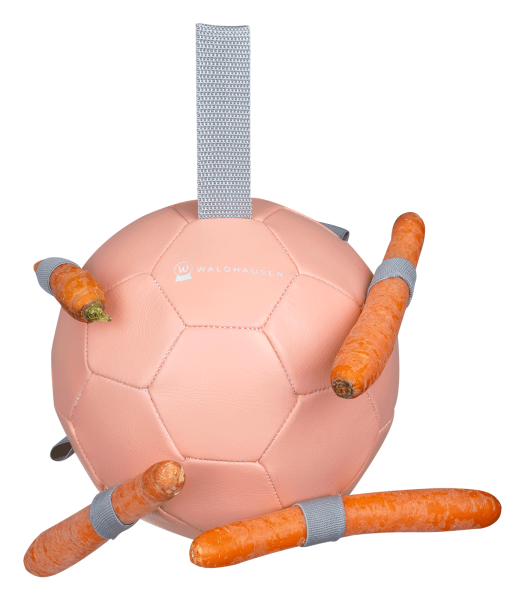 Karottenball