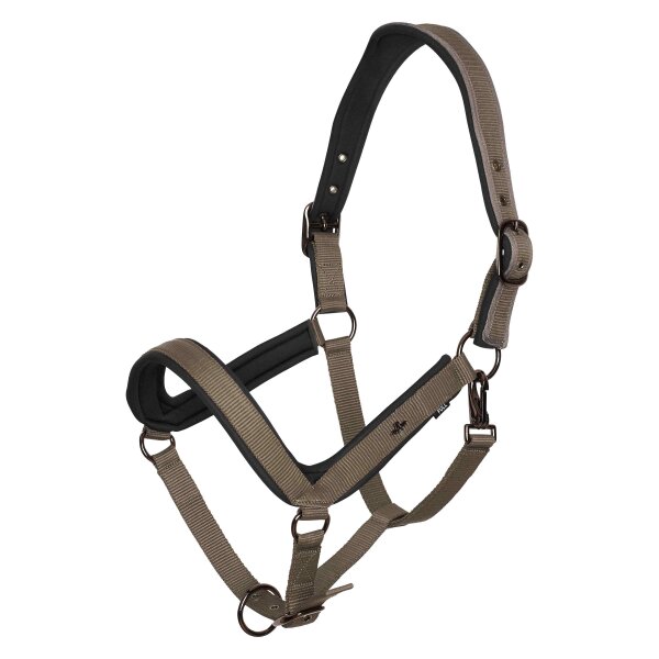 Halfter HVPEssential