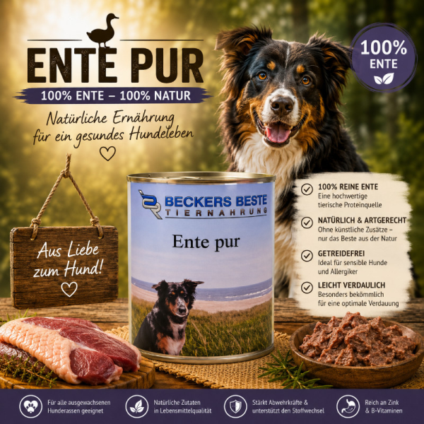 Beckers Beste Ente Pur 12er Pack 820 g