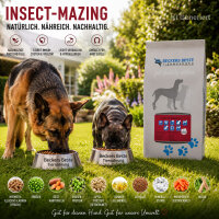 Insect-Mazing