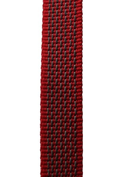 Rot
